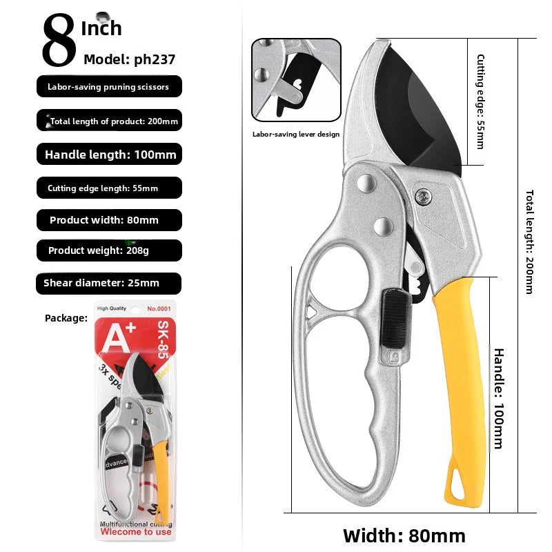 Pruning shears for fruit trees, horticult