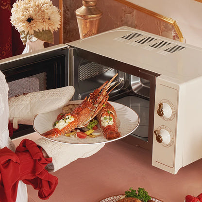 retro microwave oven steaming oven