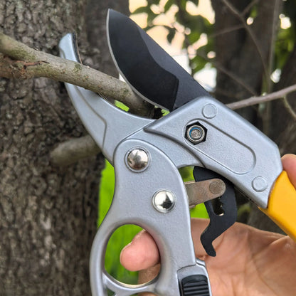 Pruning shears for fruit trees, horticult