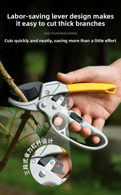 Pruning shears for fruit trees, horticult