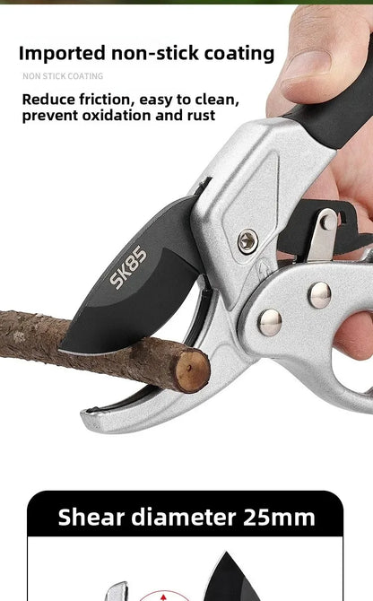 Pruning shears for fruit trees, horticult