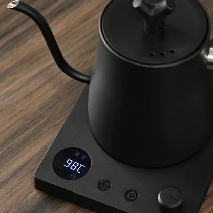 1000W Electric Gooseneck Kettle