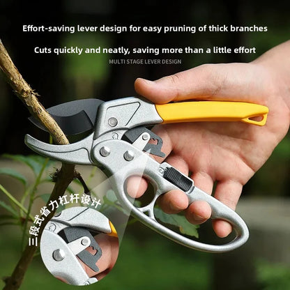 Pruning shears for fruit trees, horticult