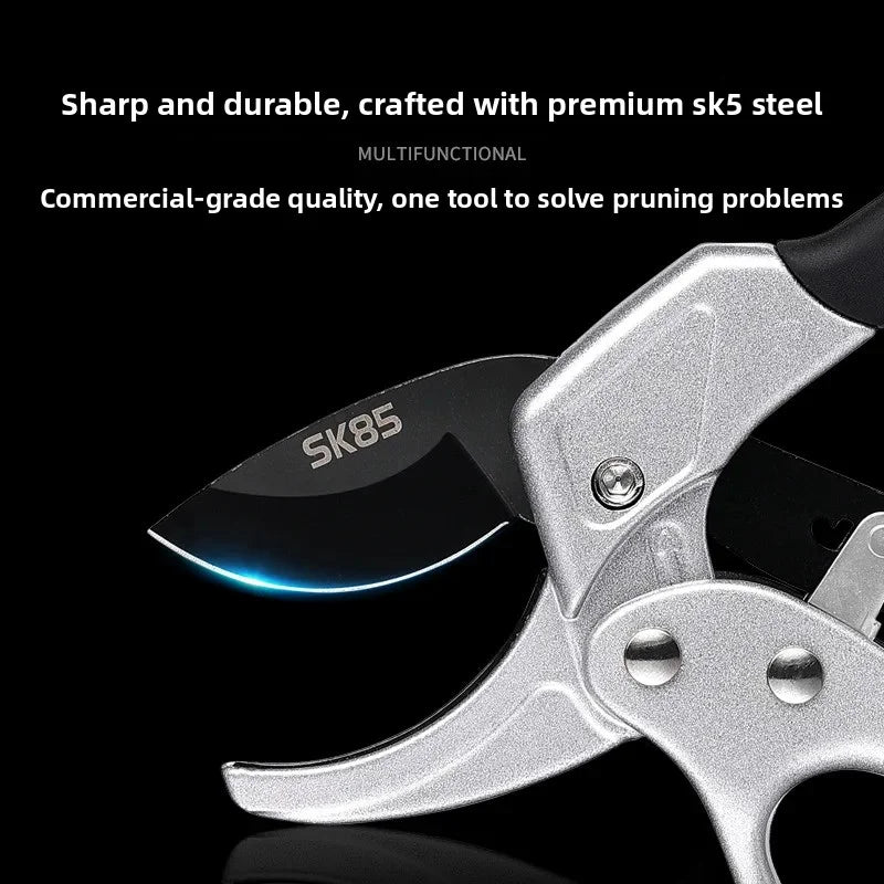 Pruning shears for fruit trees, horticult