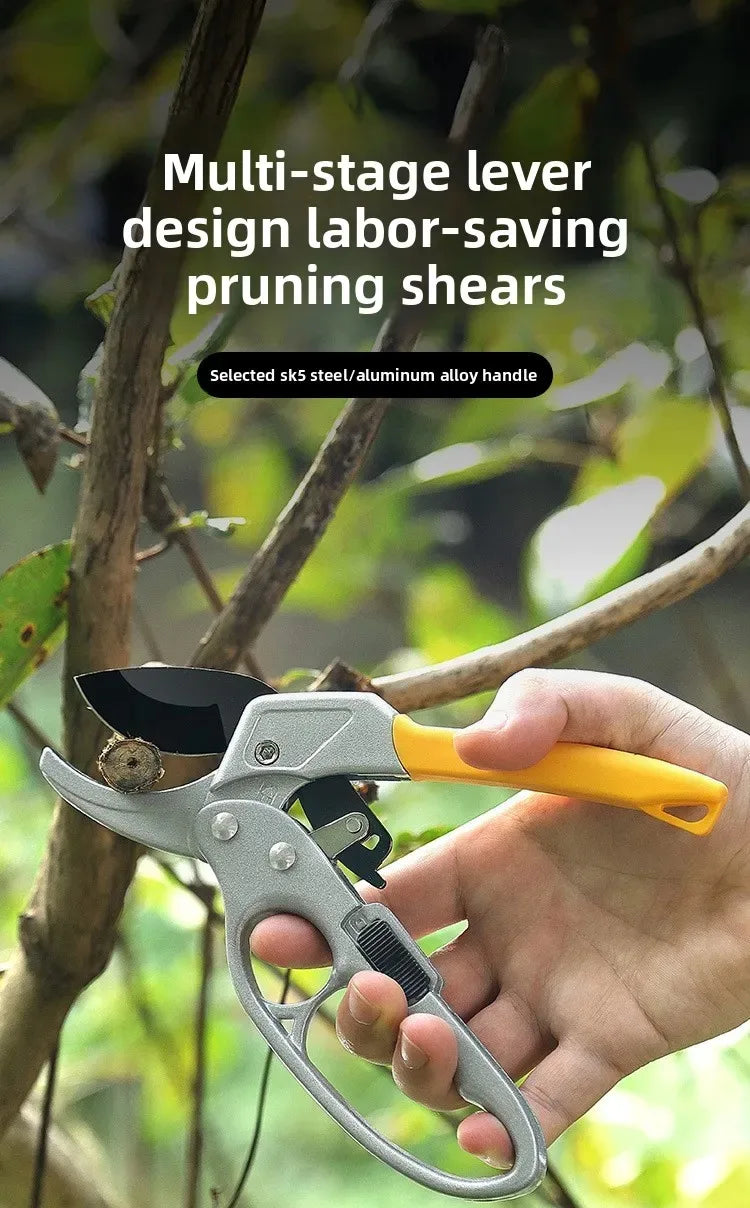 Pruning shears for fruit trees, horticult