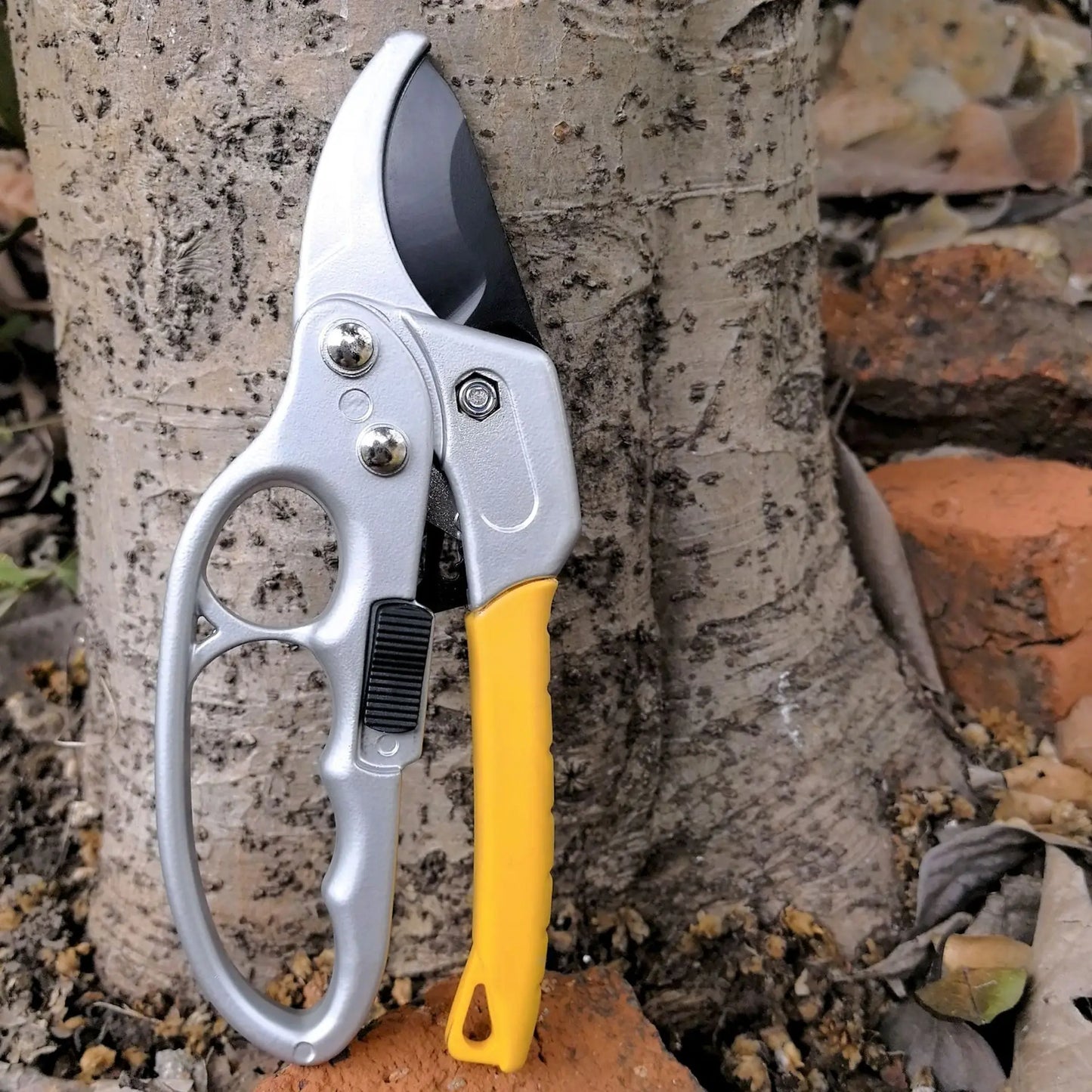Pruning shears for fruit trees, horticult