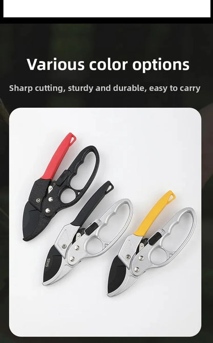 Pruning shears for fruit trees, horticult