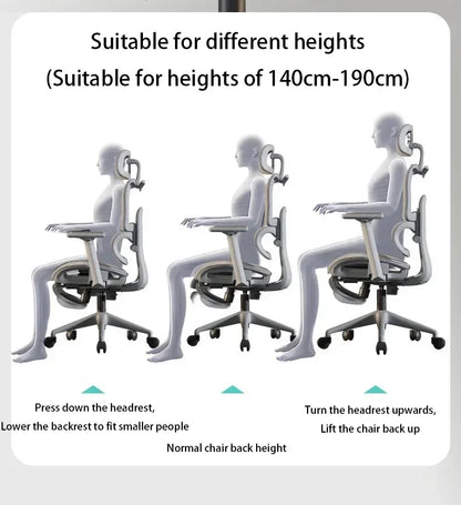 Electronic Gaming Computer Chair
