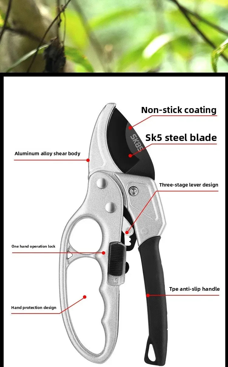 Pruning shears for fruit trees, horticult