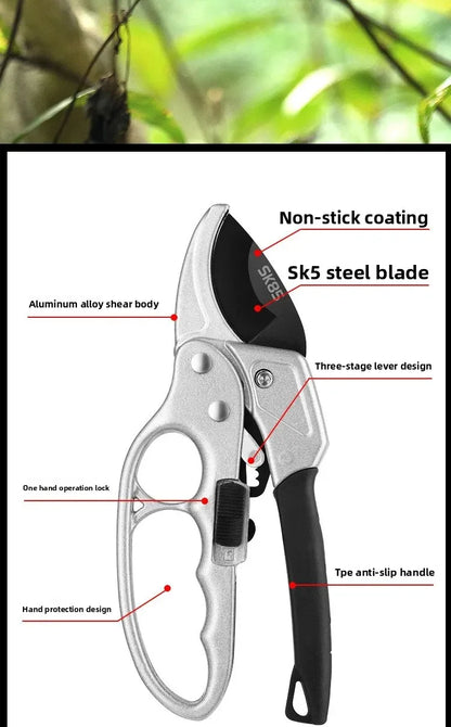 Pruning shears for fruit trees, horticult