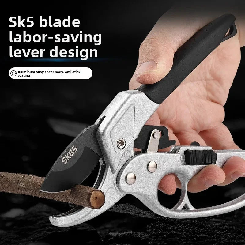Pruning shears for fruit trees, horticult
