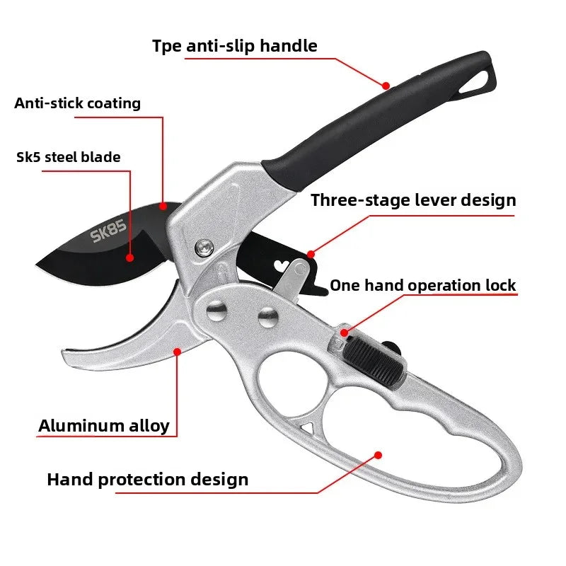 Pruning shears for fruit trees, horticult