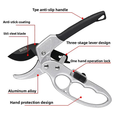 Pruning shears for fruit trees, horticult
