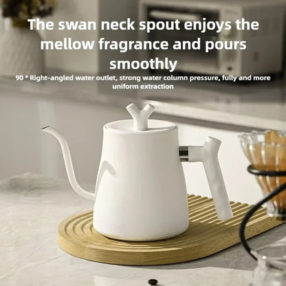 1000W Electric Gooseneck Kettle
