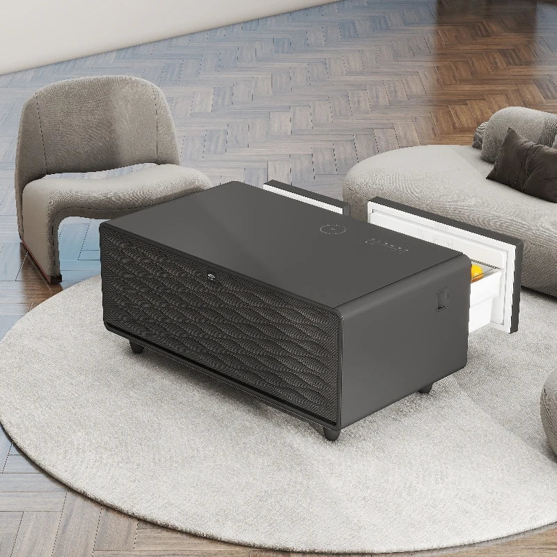 2026 New Mini bar Refrigerators with Speakers